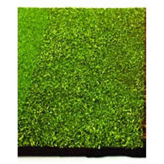 Popondetta CP-002 Diorama Powder Mix Green Popondetta CP-002 Diorama Powder Mix Green
