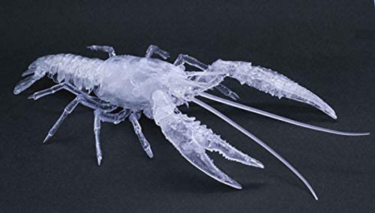 Fujimi 171005 Biology Research 24 EX-3 Procambarus Clarkii / Louisiana Crawfish (Transparent) Model Kit