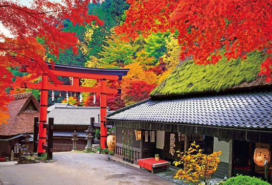 Beverly Jigsaw Puzzle Autumn Leaves Torii Shrine Gateway In Kyoto Japan (1000 Pieces)