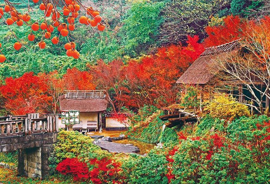 Beverly Jigsaw Puzzle Autumn Leaves Imari In Saga Japan (1000 Pieces)