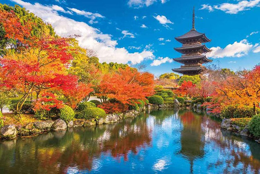 Yanoman Jigsaw Puzzle T・ｾ・・・ｻEji with Autumn leaves in Kyoto (1000 Pieces)