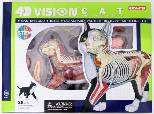 Aoshima 4D Vision Cat Black/White Anatomy Plastic Model