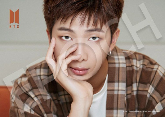 Epoch 04-101 Jigsaw Puzzle BTS RM BE (216 S-Pieces)