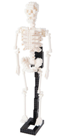 Kawada NBM-014 nanoblock Human Skeleton