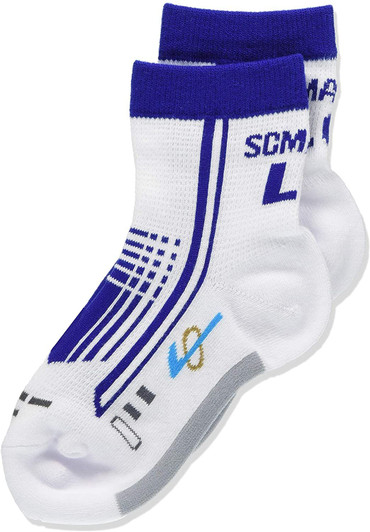 Railway Socks for Kids (Tetsushita Long) Linear Series L0 (Size 15-21cm) Mesh Type