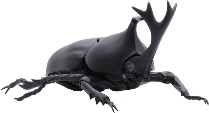 Fujimi Research Series Japanese Rhinoceros Beetle Plastic Model