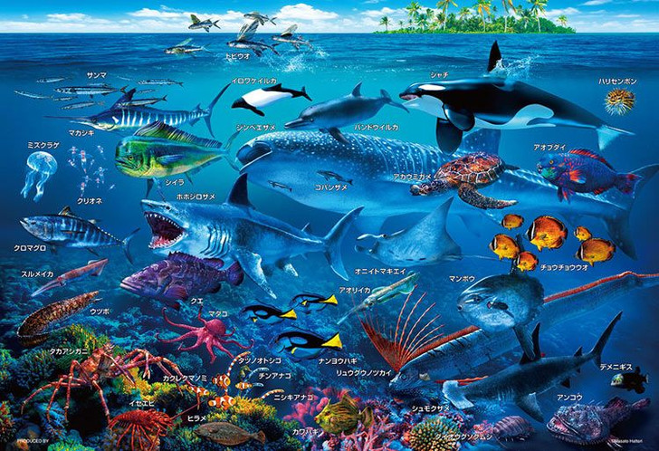 Jigsaw Puzzle Let's Learn the Sea Animals in Japanese (100 L-Pieces)