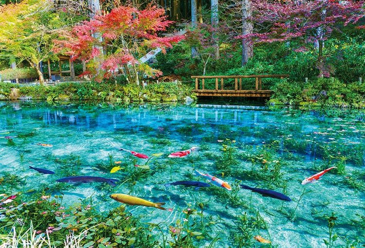 Beverly 51-293 Jigsaw Puzzle Colorful Monet's Pond (1000 Pieces)