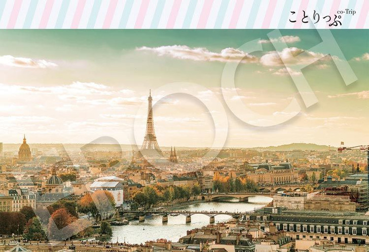 Epoch 26-364s Jigsaw Puzzle Scenery of Paris France (300 Pieces)