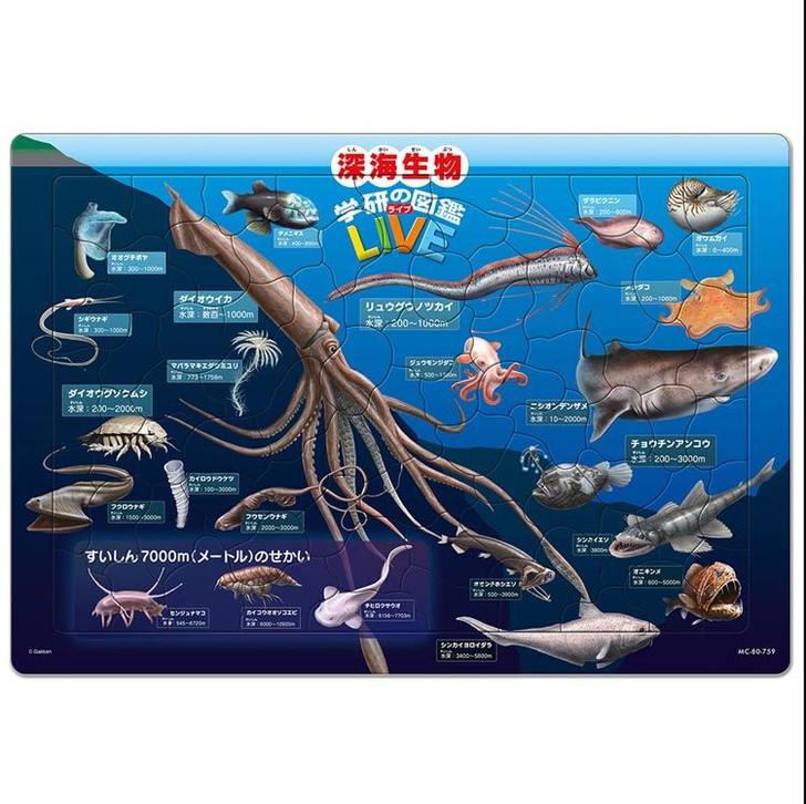 Tenyo Jigsaw Puzzle Deep Sea Creatures w/ Japanese Names (80 Pieces) Child Puzzle