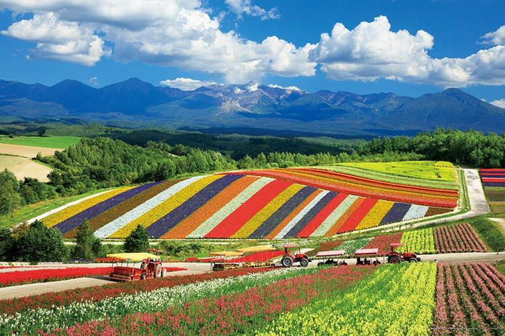 Yanoman 10-1422 Jigsaw Puzzle Shikisai no Oka and Tokachidake Mountain Range Hokkaido Japan (1000 Pieces)