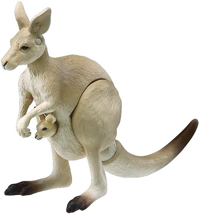 Ania AS-21 Eastern Grey Kangaroo