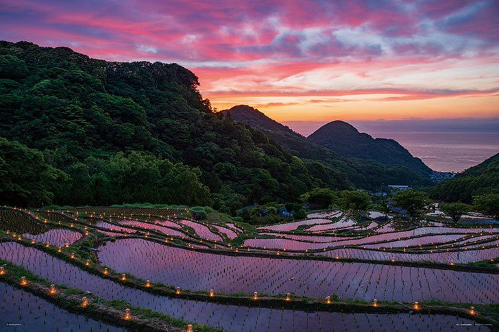 Yanoman 10-1425 Jigsaw Puzzle Ishibu Rice Terraces Candle Night in Shizuoka Japan (1000 Pieces)