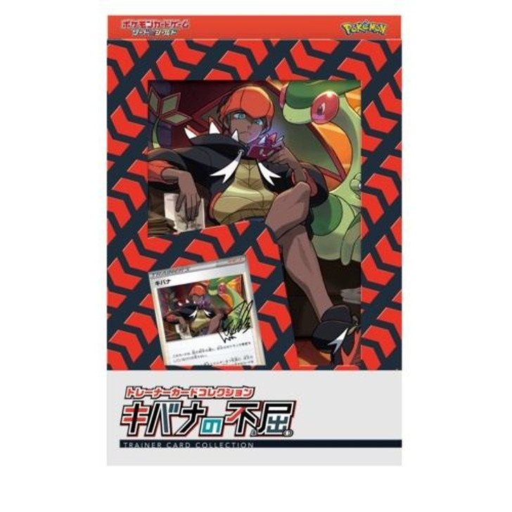 岩肌REX5号　岩肌REX4号　岩肌4号3個　セット Pokemon Card Game Sword & Shield Trainer Card Collection