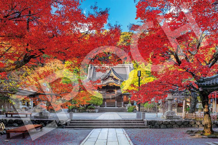 Epoch 09-024s Jigsaw Puzzle Beautiful Autumn at Shuzenji Temple in Shizuoka Japan (1000 Pieces)
