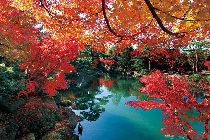 Yanoman 10-1431 Jigsaw Puzzle Autumn in Yushien Shimane Japan (1000 Pieces)