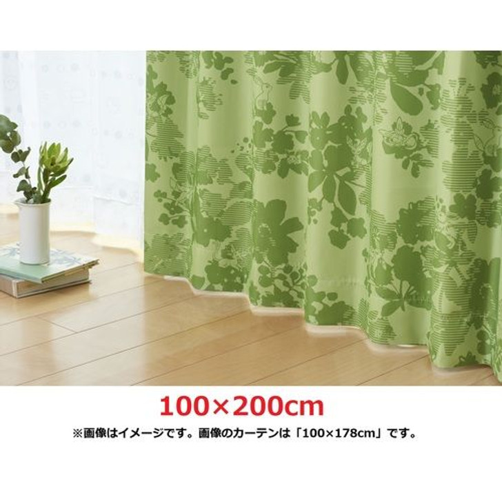 Pokemon Center Blackout Curtains Eeveelutions 100E¾EEE»00cm 2pcs