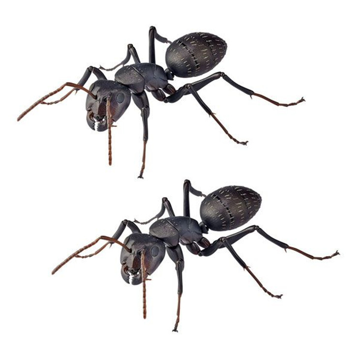 Kaiyodo Revogeo Camponotus Japonicus Figure