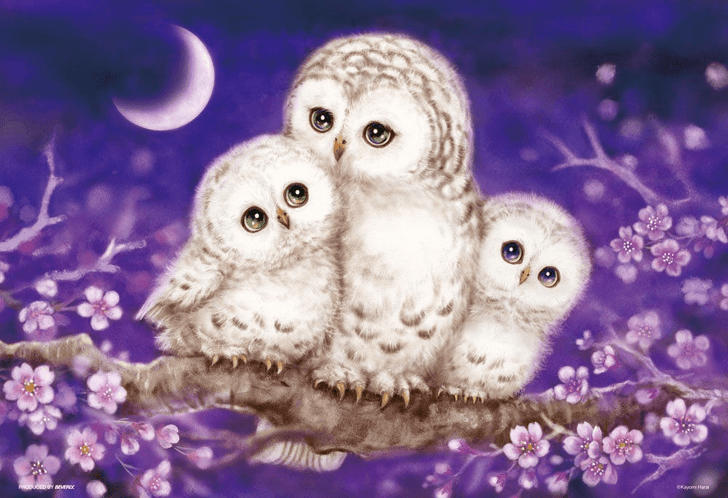 Beverly Jigsaw Puzzle 33-120 Japanese Art Owl Family (300 Pieces) (4977524331209)