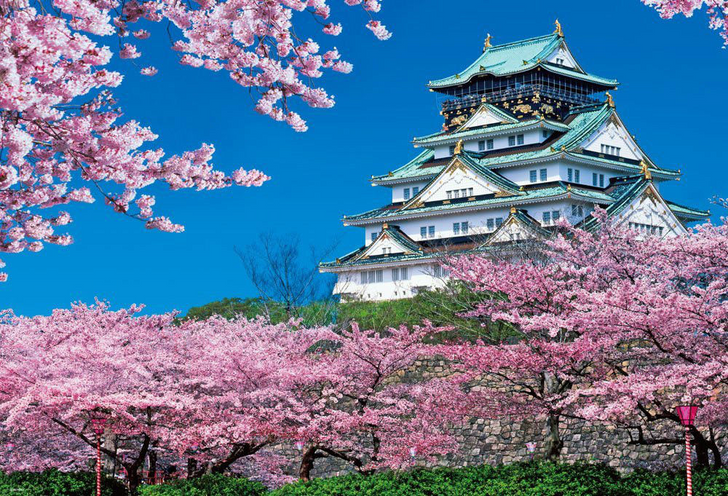 Beverly Jigsaw Puzzle 51-192 Japanese Scenery Osaka Castle Spring (1000 Pieces) (4977524511922)