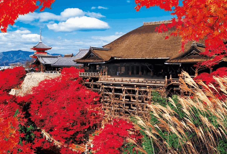 Beverly Jigsaw Puzzle 51-208 Japanese Scenery Kiyomizu Temple Kyoto(1000 Pieces) (4977524512080)