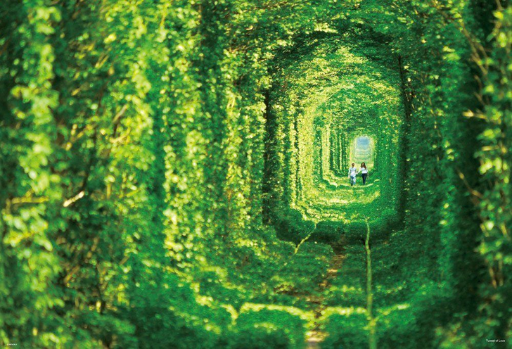 Beverly Jigsaw Puzzle 51-215 Tunnel of Love Klevan Ukraine (1000 Pieces) (4977524512158)