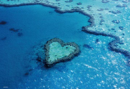 Beverly Jigsaw Puzzle 73-192 Heart Reef Island (300 Pieces) (4977524731924)