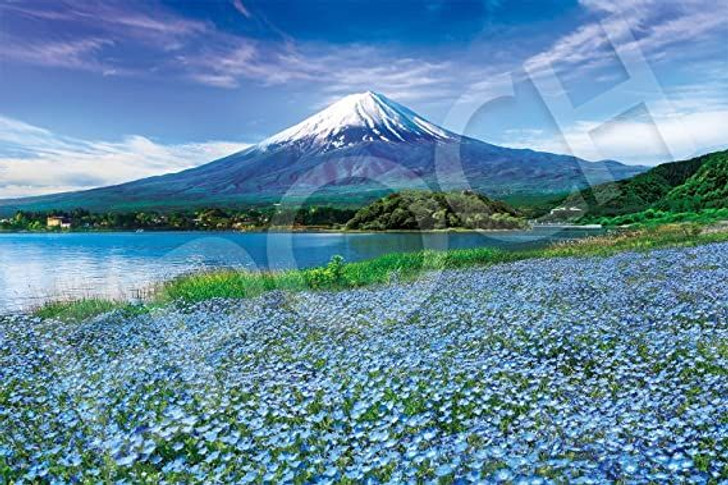 Epoch 09-040s Jigsaw Puzzle Baby Blue Eyes Flower Blooming in Fuji Yamanashi (Scenery) (1000 Pieces)