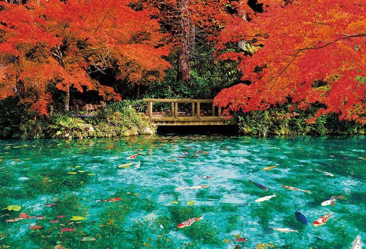 Beverly 51-300 Jigsaw Puzzle Monet's Pond in Autumn Colors (1000 Pieces)