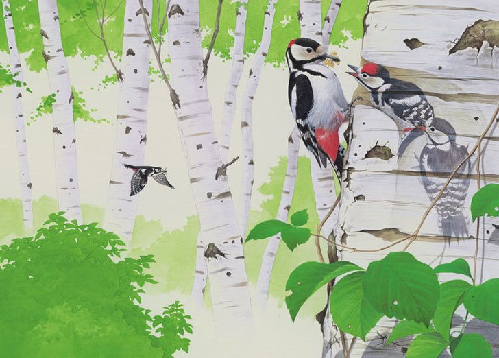 Epoch 79-336s Jigsaw Puzzle Great Spotted Woodpecker (500 Pieces)