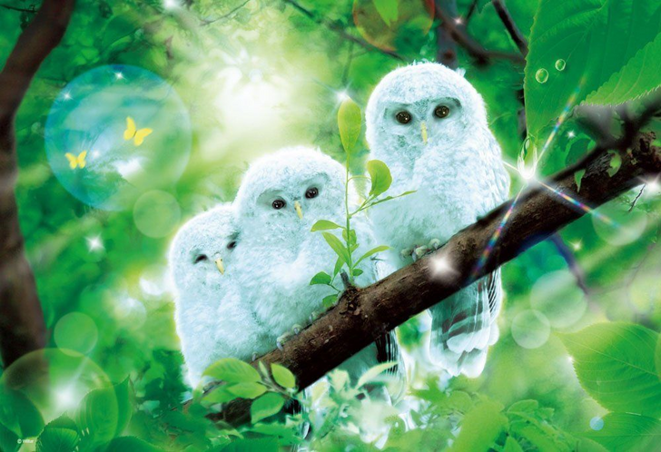 Beverly Jigsaw Puzzle M81-534 Fantasy Art Owls (1000 S-Pieces) (4977524815341)