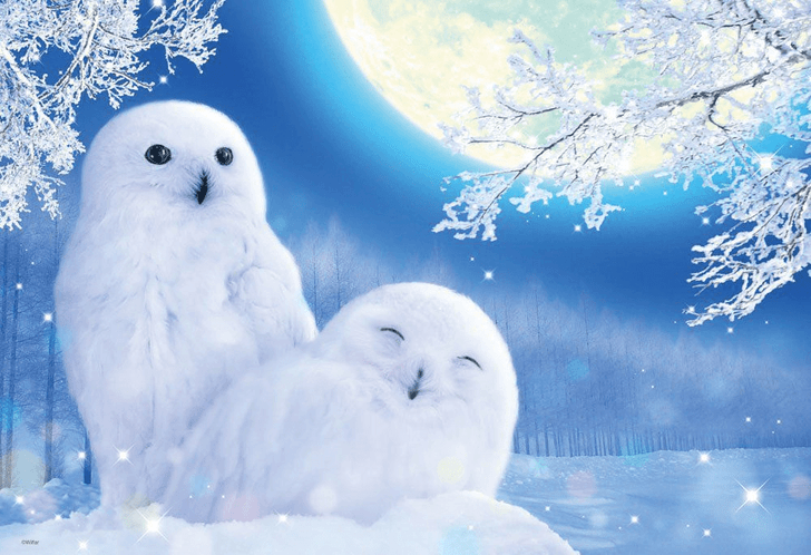 Beverly Jigsaw Puzzle M81-545 White Owl (1000 S-Pieces) (4977524815457)