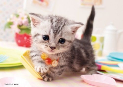 Beverly Jigsaw Puzzle P88-008 Lovely Cat (88 L-Pieces) (4977524880080)