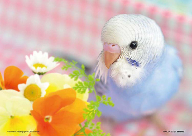 Beverly Jigsaw Puzzle P88-018 Pet I LOVE Parakeets (88 L-Pieces) (4977524880189)