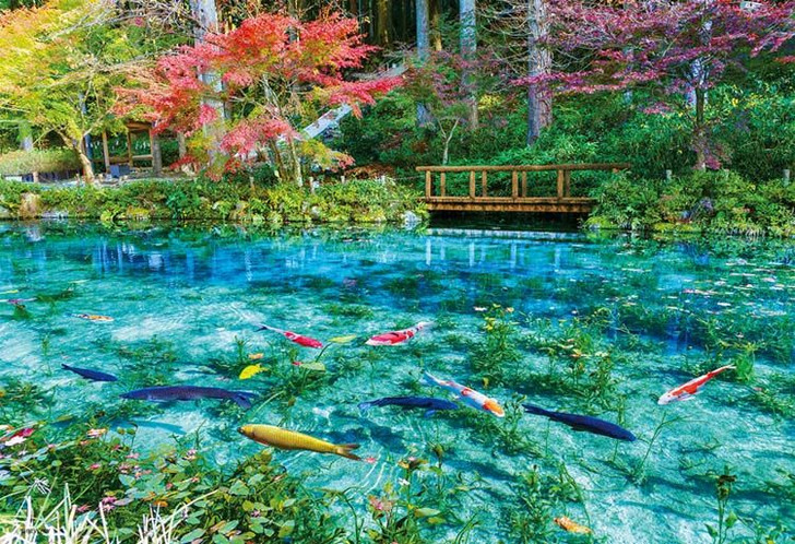 Beverly 300-025 Jigsaw Puzzle Sparkling Monet's Pond (300 Pieces)