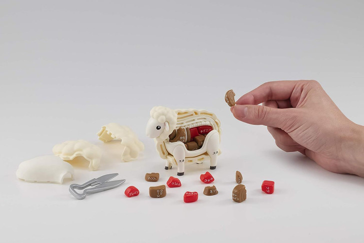 Megahouse 3D Anatomy Puzzle Lamb Sheep