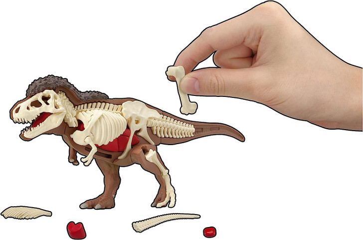 Megahouse 3D Anatomy Puzzle Tyrannosaurus T-Rex