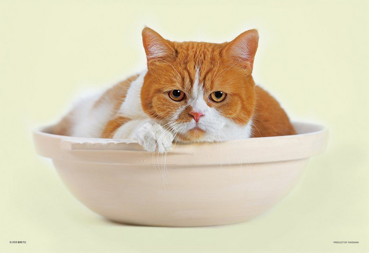Yanoman Jigsaw Puzzle 01-2054 Futeneko Haruma Cat Pot (108 L-Pieces) (4979817270547)