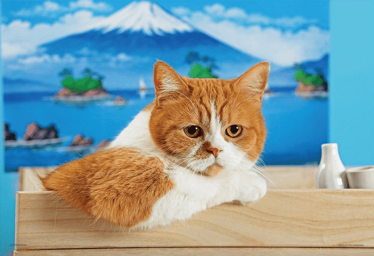 Yanoman Jigsaw Puzzle 01-2055 Futeneko Haruma Good Hot Water (108 L-Pieces) (4979817270554)