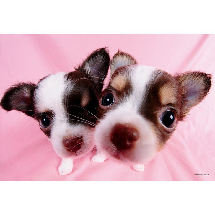 Yanoman Jigsaw Puzzle 03-813 Cute Dog Chihuahua (300 Pieces) (4979817038130)