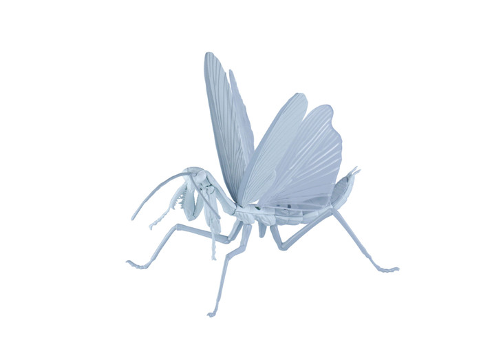 Fujimi Research Series Tenodera Aridifolia (Japanese Giant Mantis) White Blood Cell (Neutrophil) Ver. Plastic Model (Cells at Work!)