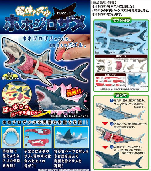 3D Anatomy Puzzle Great White Shark