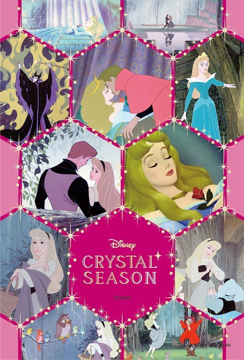 Yanoman Jigsaw Puzzle 99-400 Disney Sleeping Beauty (99 Small Pieces) (4979817994009)