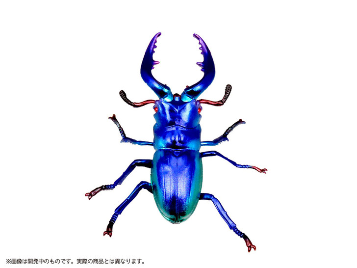 MIC Pripra Dream Museum - Stag Beetle Sapphire Plastic Model