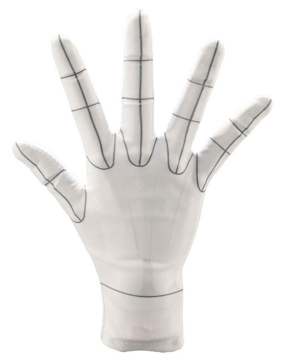 ARTIST SUPPORT ITEM Hand Model Glove/R -Wireframe-