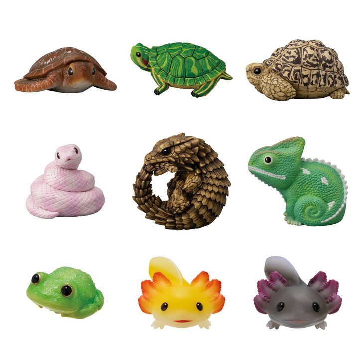 Bandai Candy Tenori Animal Friends Vol.11 -Reptiles and Amphibians- 12pcs Complete Box