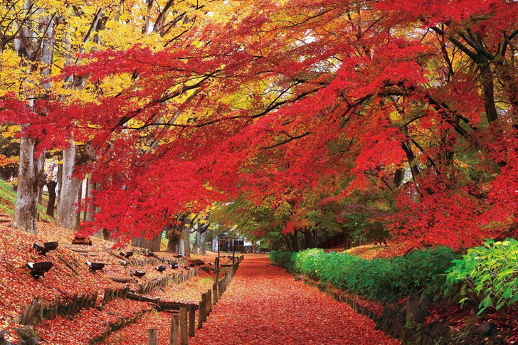 Epoch Jigsaw Puzzle 23-595 Japanese Scenery Ueda Castle Park Nagano (2016 S-Pieces) (4977389235957)