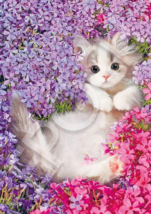  Epoch 04-302 Jigsaw Puzzle Beauty Kitty (216 Small Pieces) 