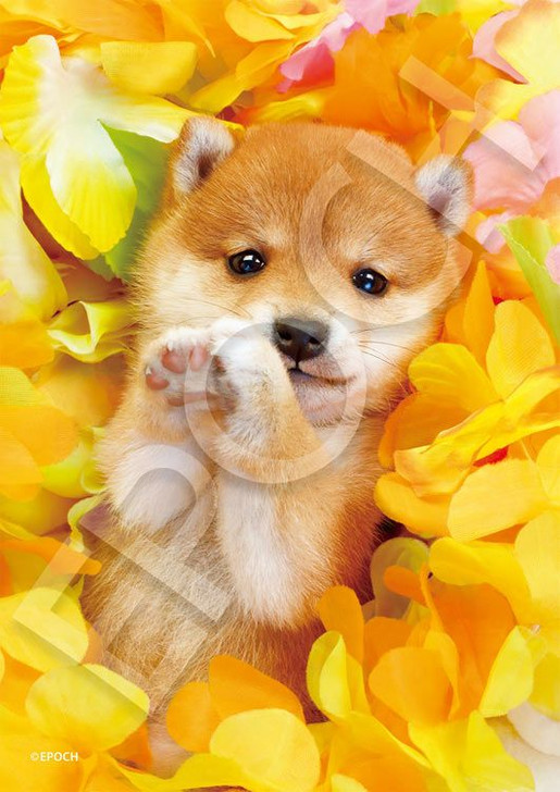 Epoch 04-301 Jigsaw Puzzle Floral Puppy (216 Small Pieces)