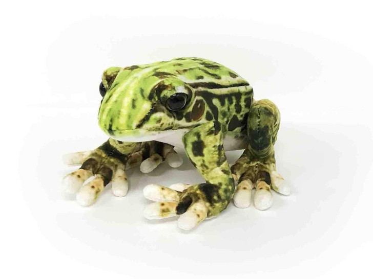  Taiyo Sangyo Wildography Plush Pelophylax Nigromaculatus 